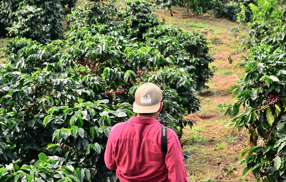 coffee farmer
